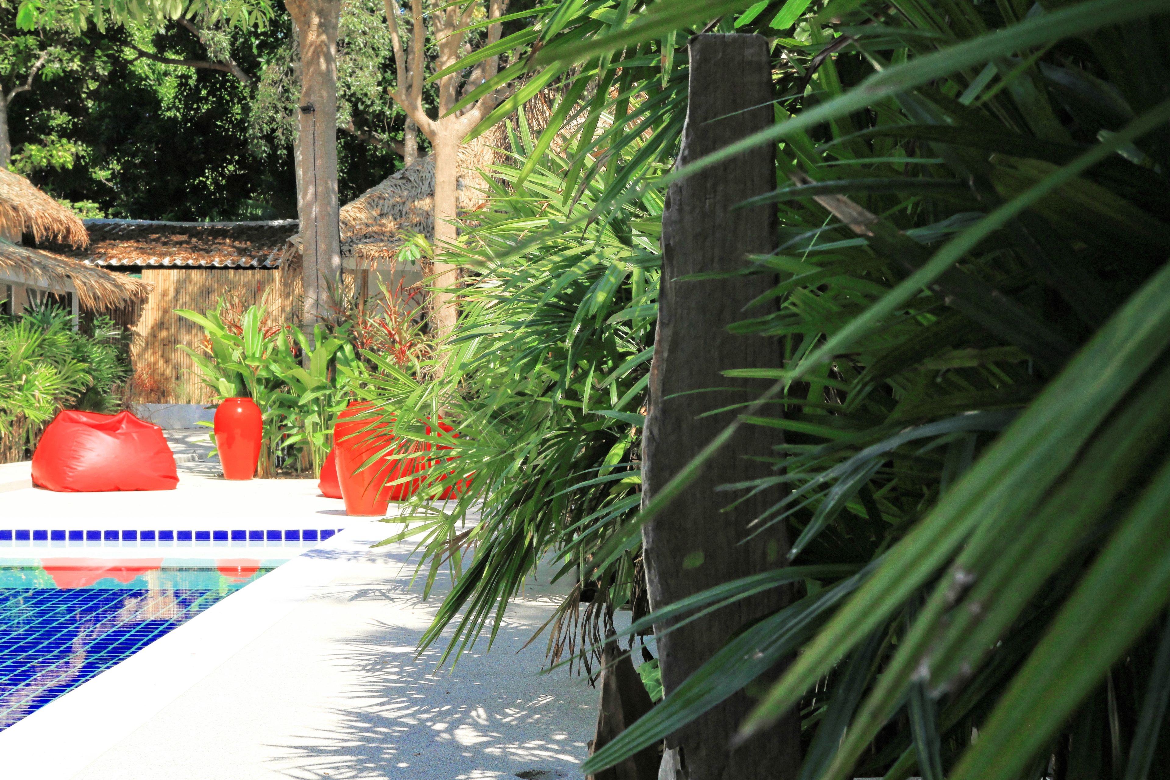 A swimming pool with a tiled edge, surrounded by tropical plants and a wooden fence.