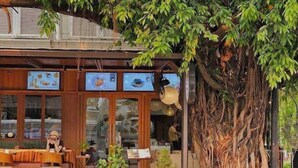 Un restaurante con terraza, un árbol grande y fachada de madera tradicional.