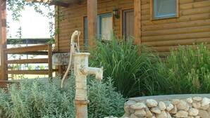 A rustic wooden cabin with a stone well and surrounding vegetation.