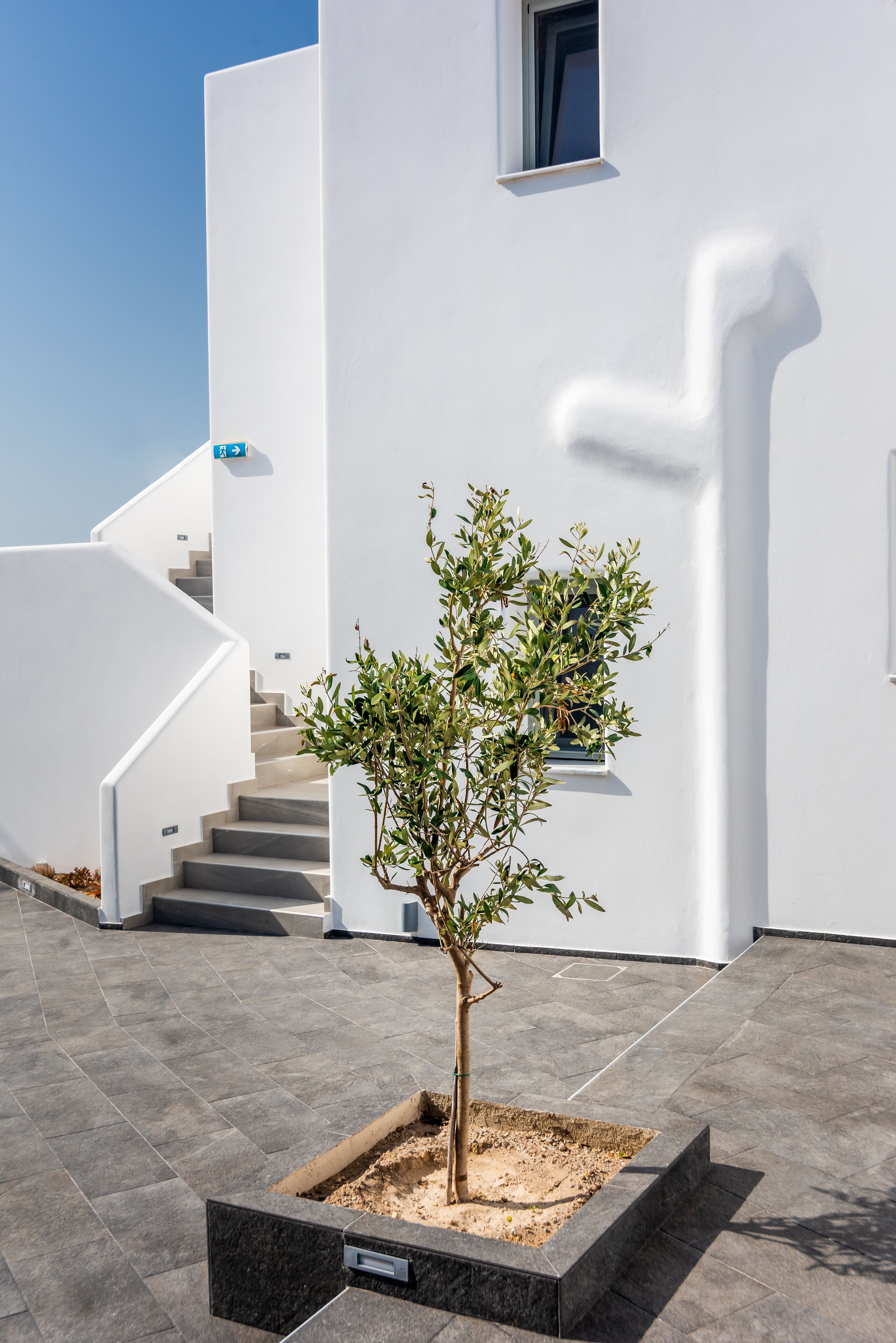 A modern building with a white exterior, a staircase, and a small tree in a planter.