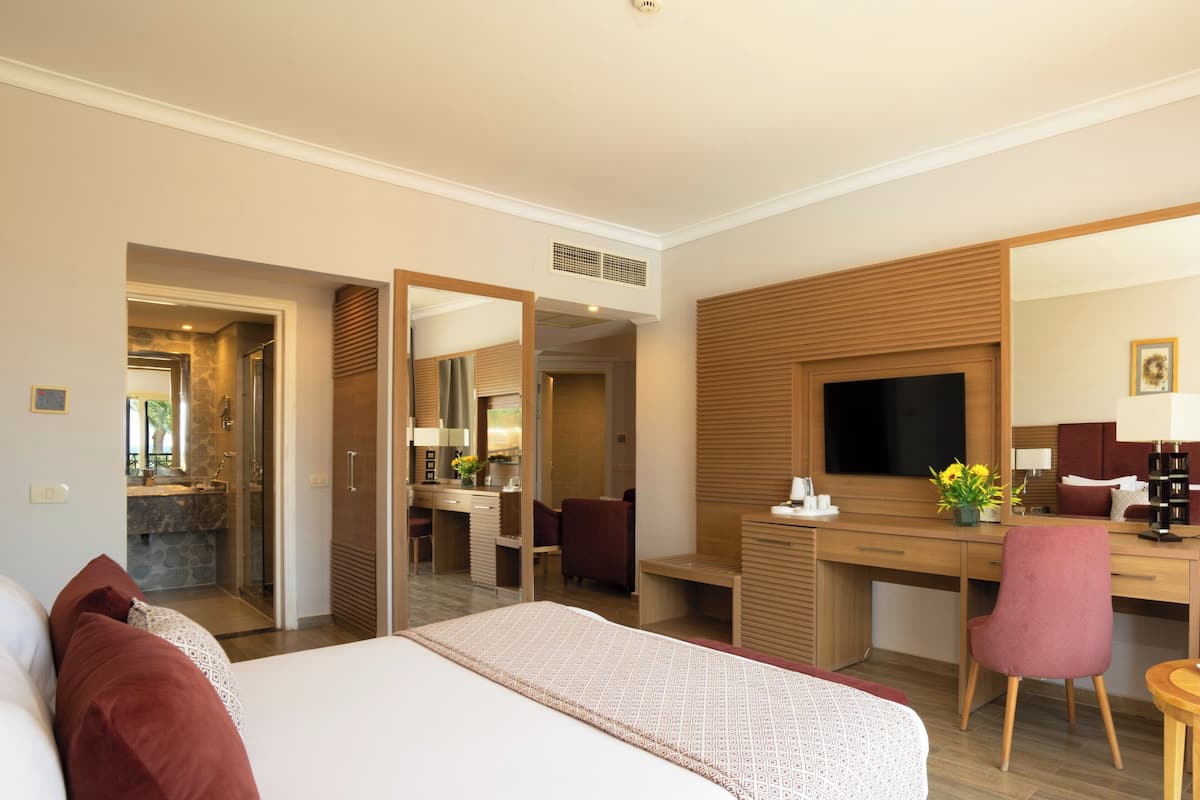 A hotel room with a large bed, a desk with a chair, a TV, and a shower area.