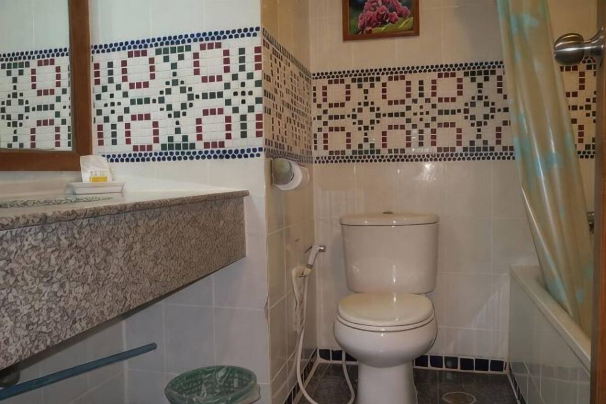 A bathroom with a toilet, a shower curtain, and a tiled wall with a mosaic pattern.