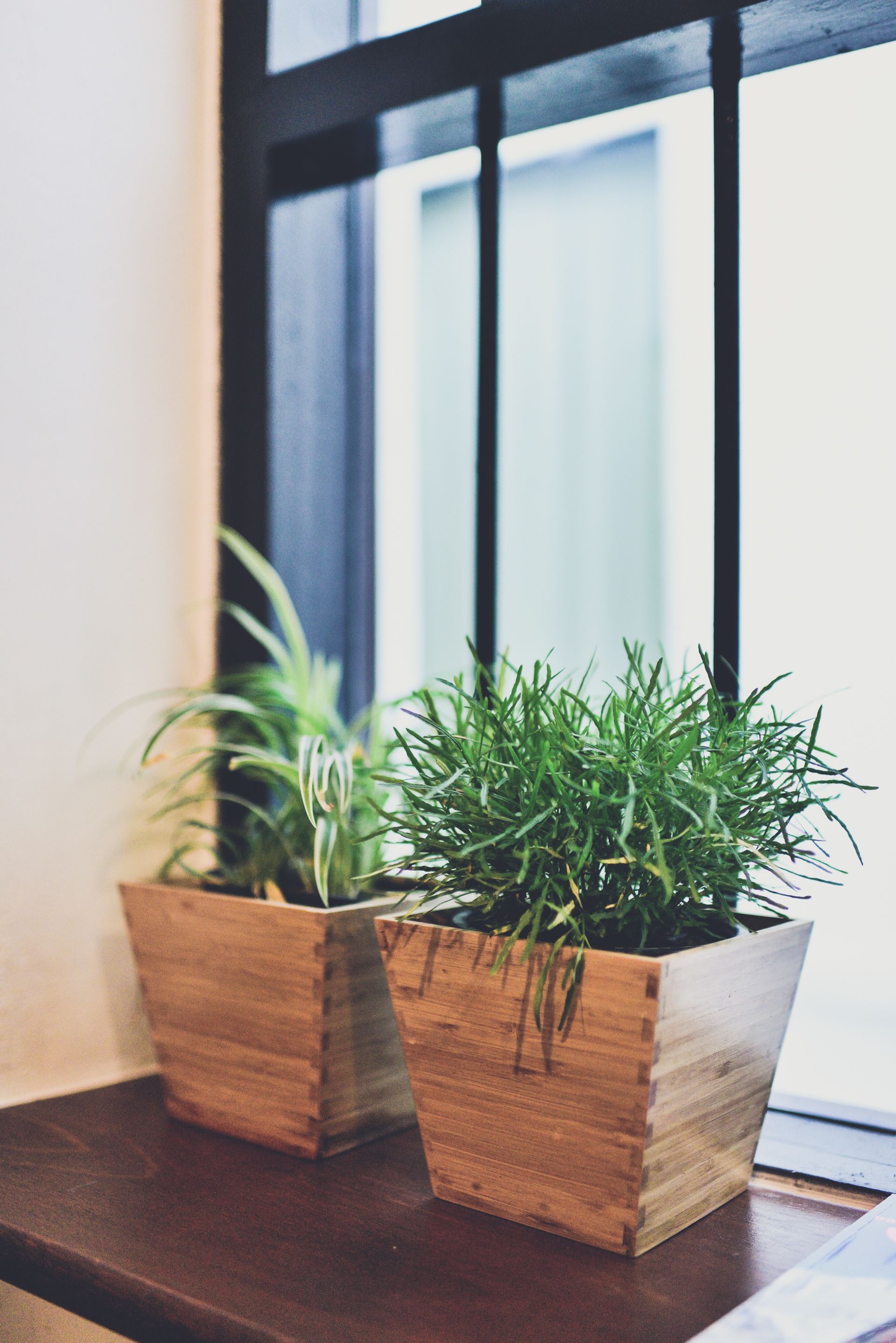 Photo - The Rommanee Classic Guesthouse