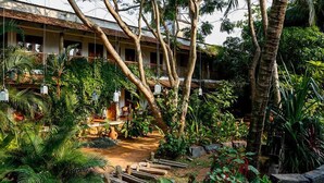 Un jardin luxuriant agrémenté d’un bâtiment de style traditionnel, avec un sentier et diverses plantes tropicales.