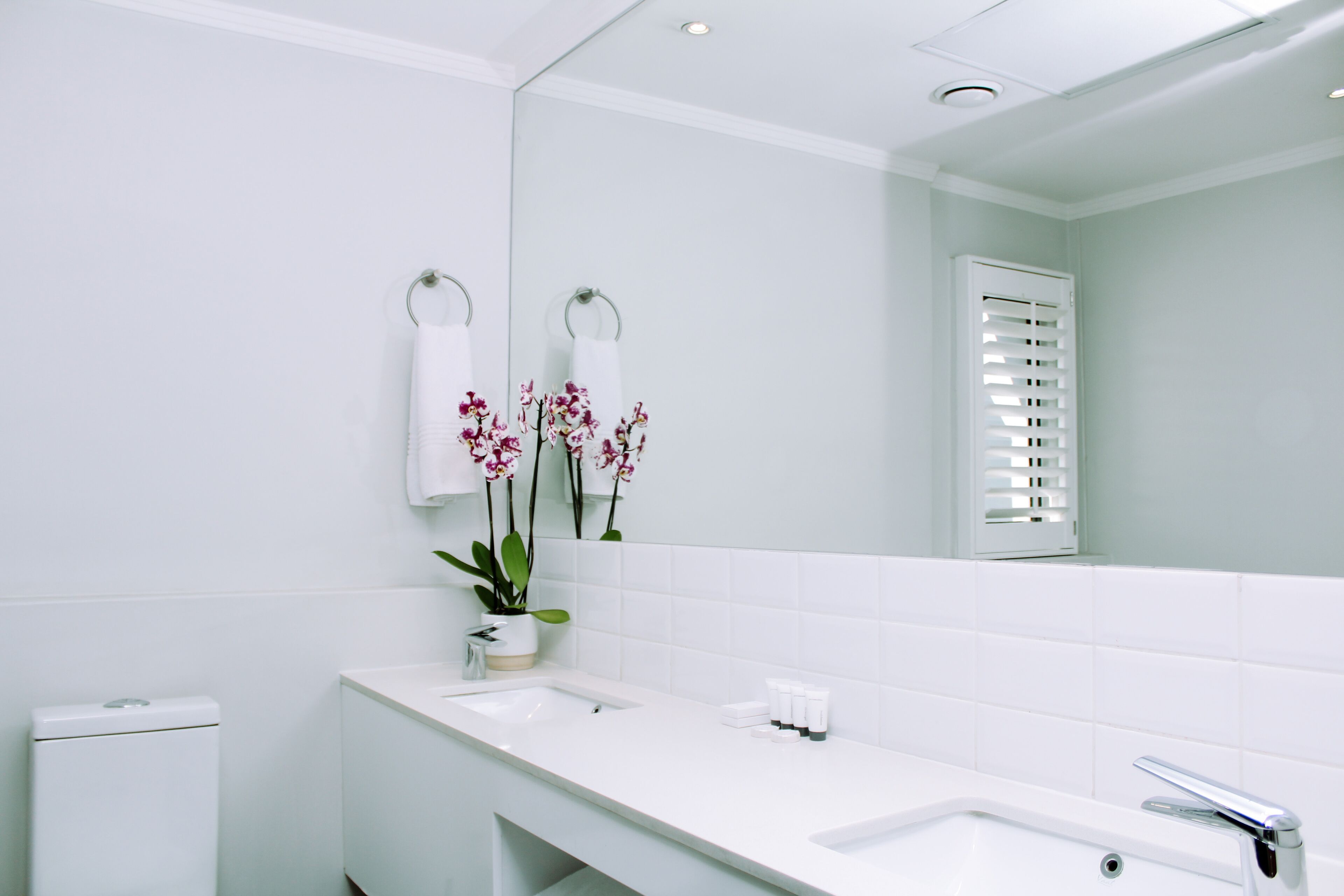 A modern bathroom with a white sink, mirror, and toilet. There are two white towels hanging on hooks and a small potted plant with pink flowers.