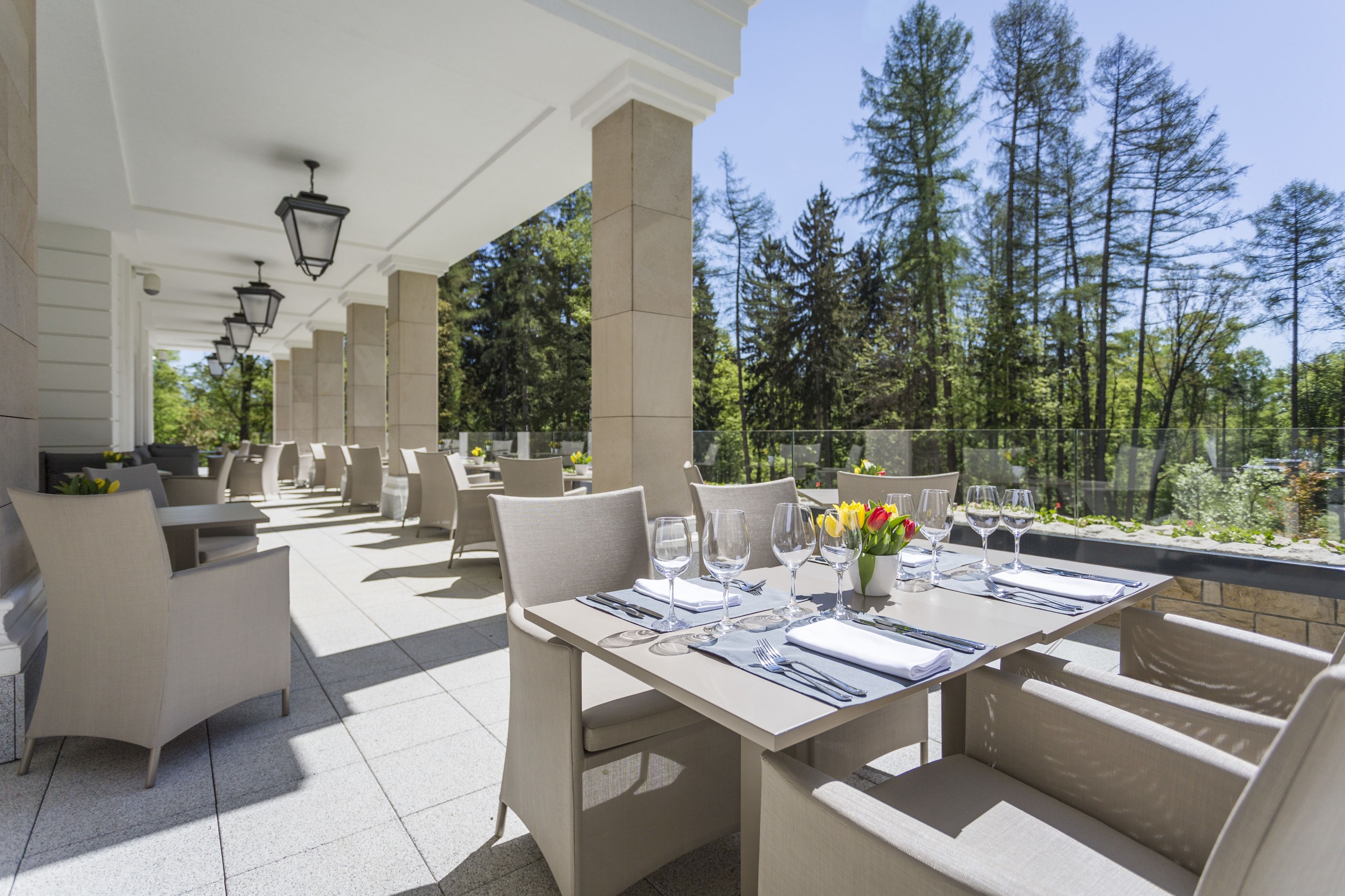 international cuisine