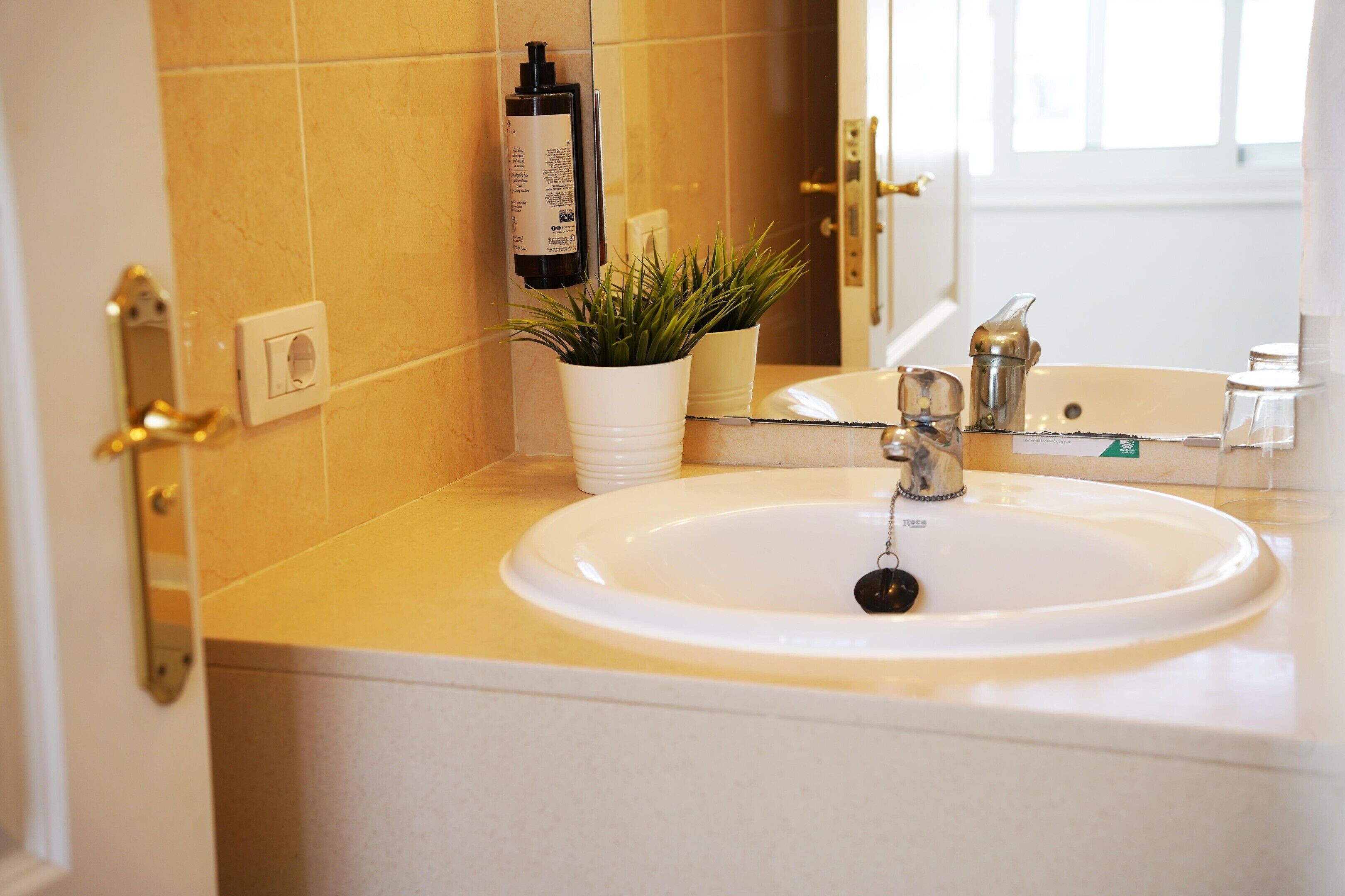 Un baño con lavamanos blanco, un espejo, una planta en maceta y artículos de aseo sobre la encimera.