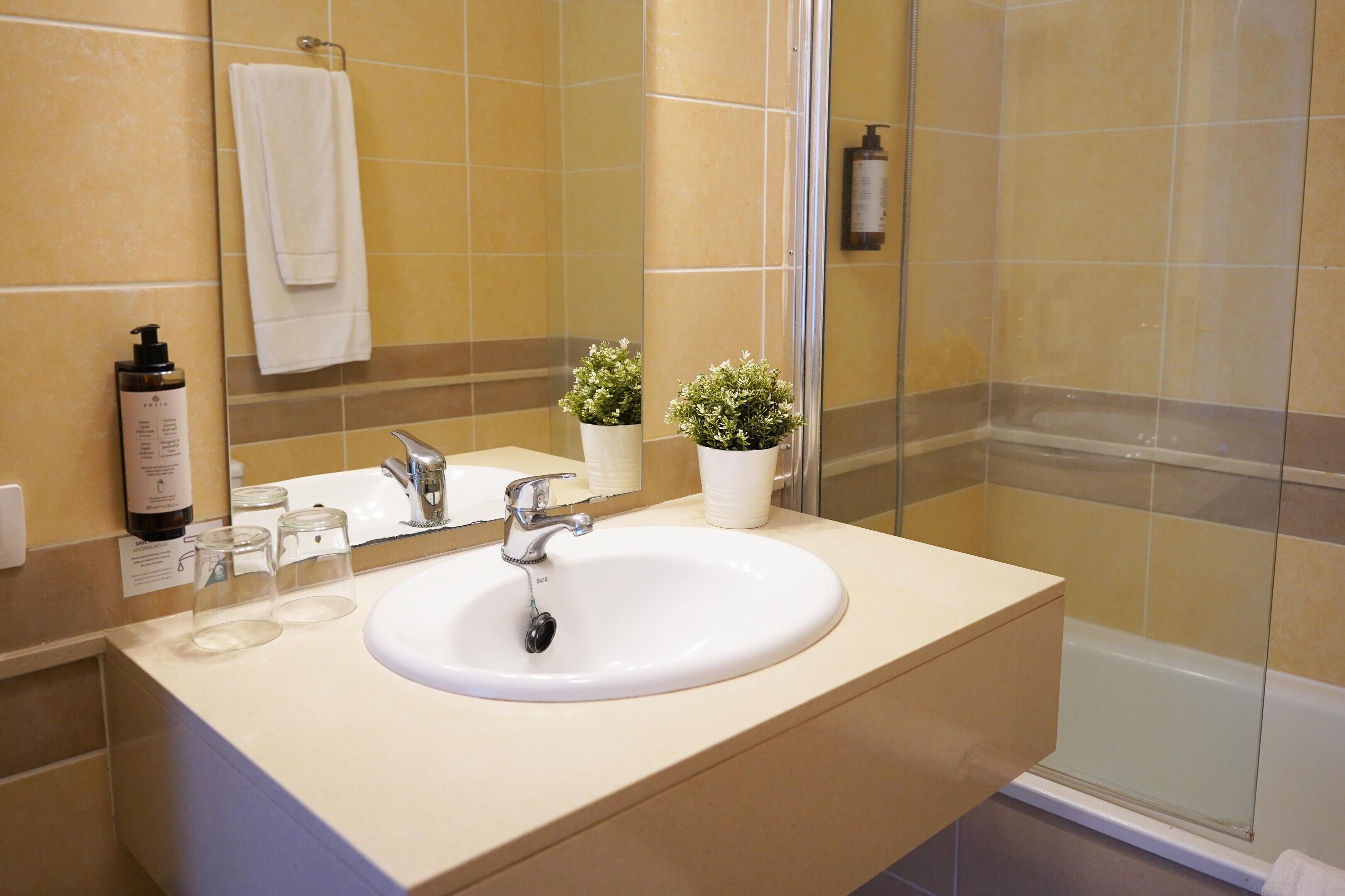 Combined shower/tub, hair dryer, bidet, towels