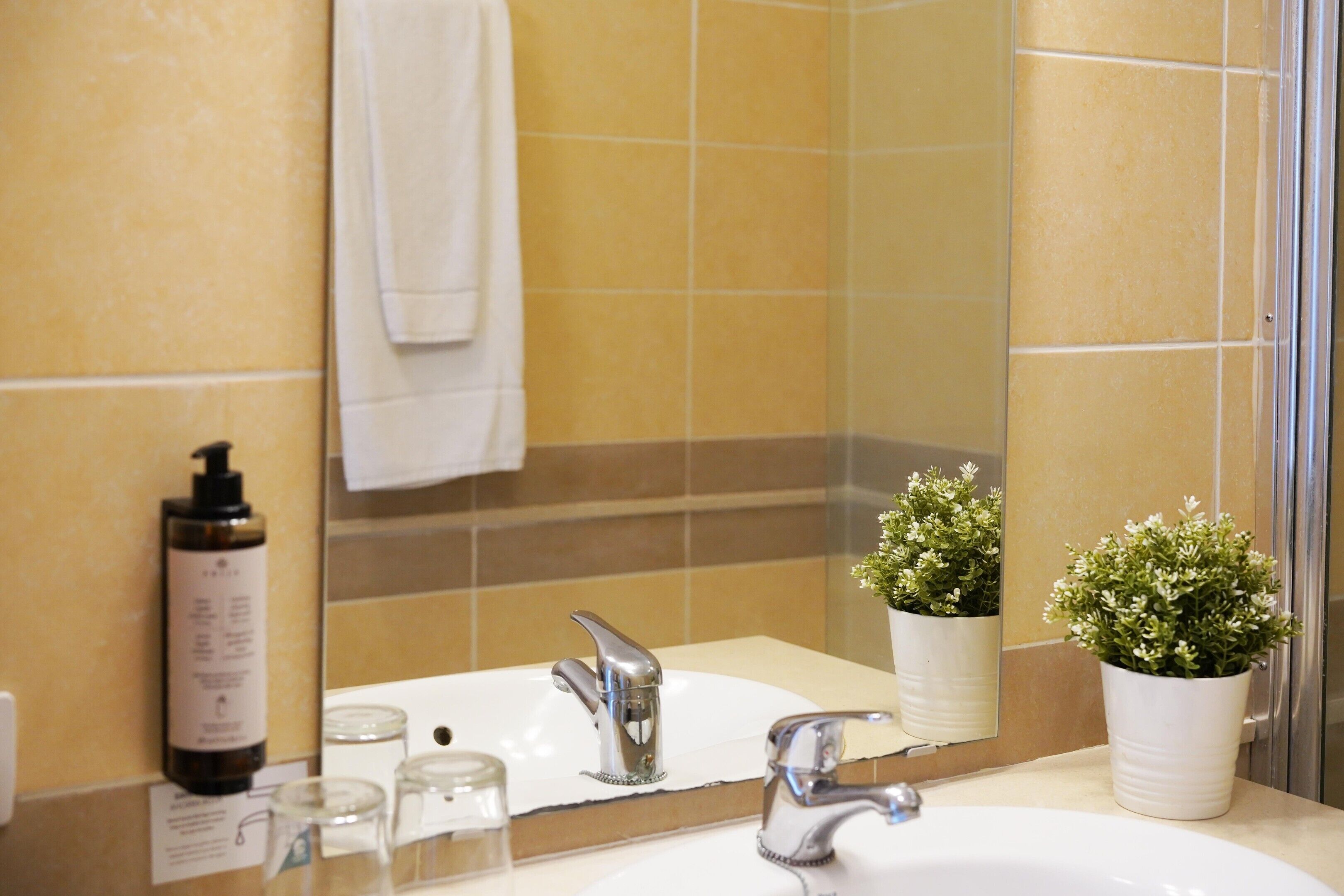 Une salle de bain avec un lavabo, deux robinets, un miroir, une serviette et une plante en pot.