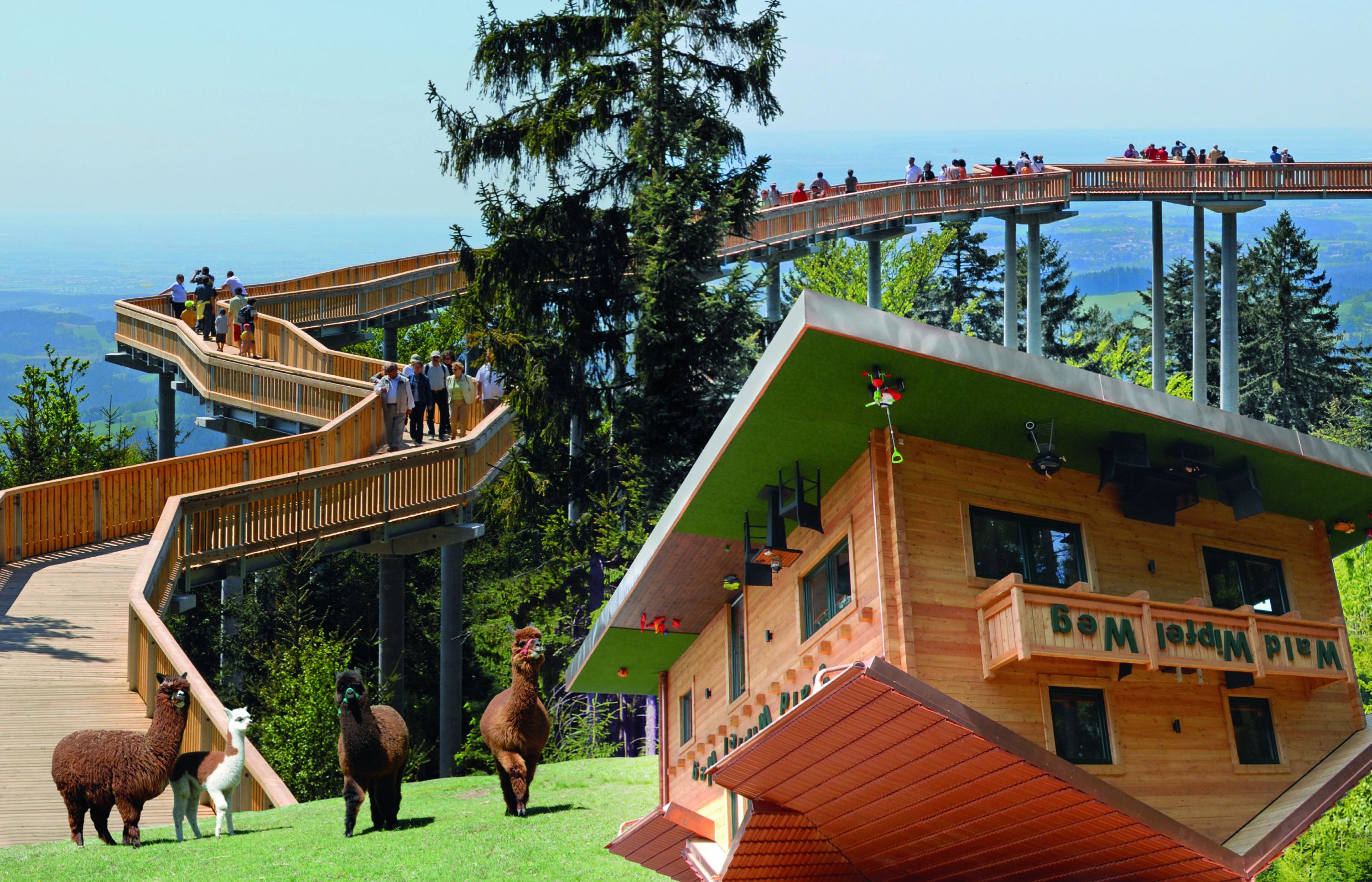 children’s activities