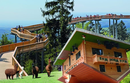Children's activities. Hotel Bayerischer Wald