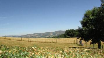 Paisaje rural con una cerca, un árbol y colinas al fondo.
