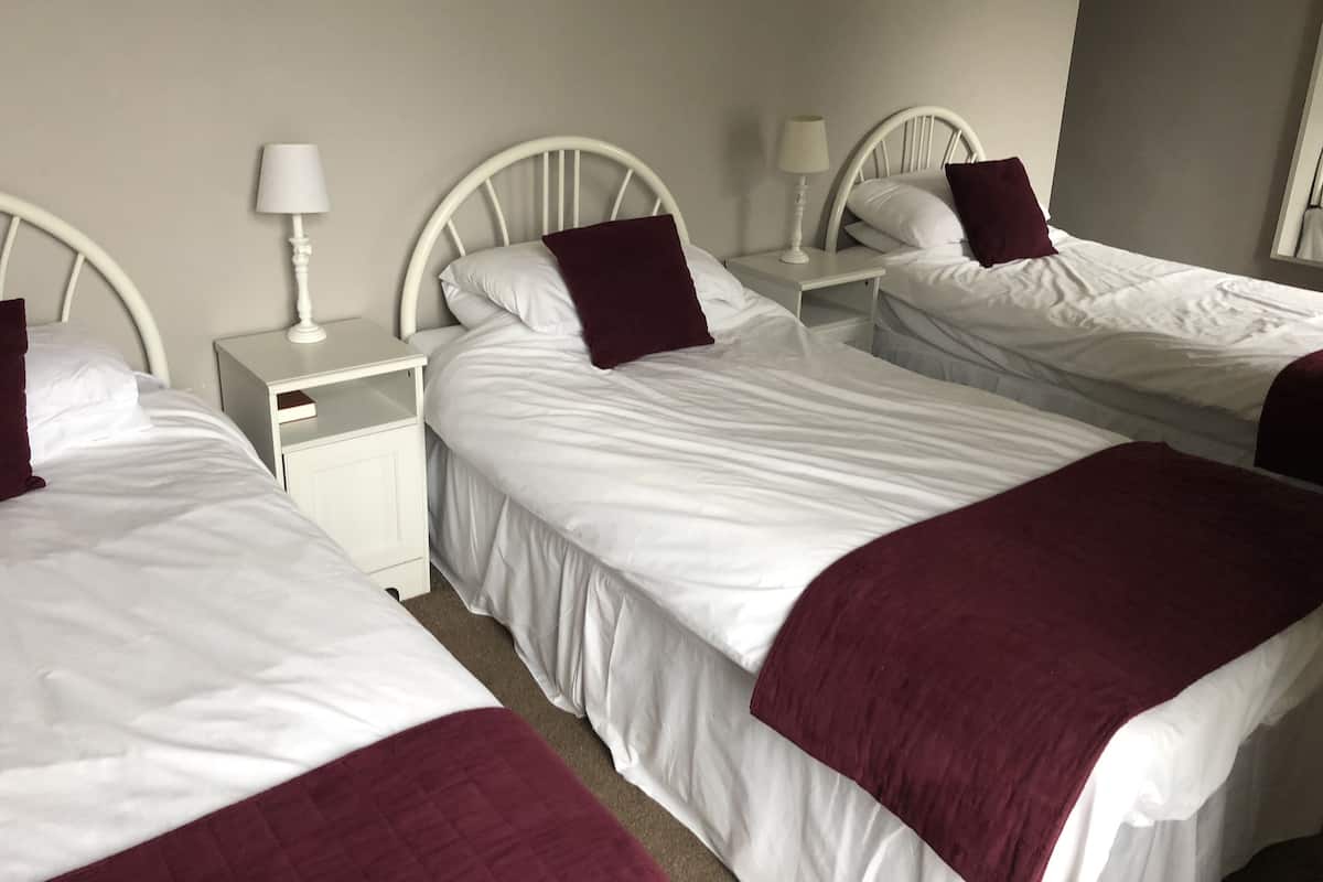Comfort Triple Room, Ensuite, Park View (Room 5)