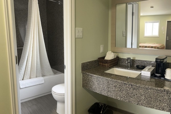 Room, 1 Queen Bed | Bathroom | Combined shower/tub, free toiletries, hair dryer