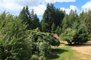 A forested area with a variety of trees and a small building with a red roof.