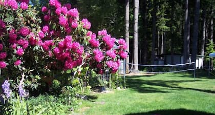 Mountain View Lodge