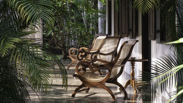 A wooden bench with woven seats in a lush indoor garden with tall ferns. - Nisala Arana Boutique Hotel (Bentota)