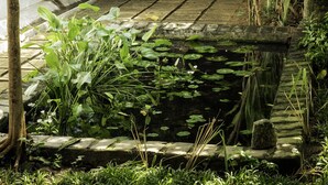 A serene garden with a pond, lush greenery, and a traditional wooden door. - Nisala Arana Boutique Hotel (Bentota)