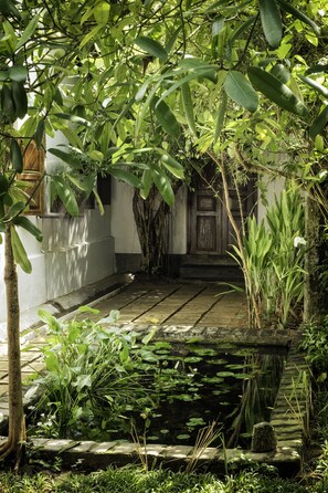 สนามรอบบริเวณ