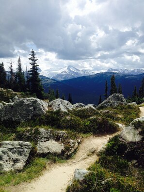 A mountain trail with large rocks and sparse vegetation. - Belle Neige Suites- Whistler (Whistler)