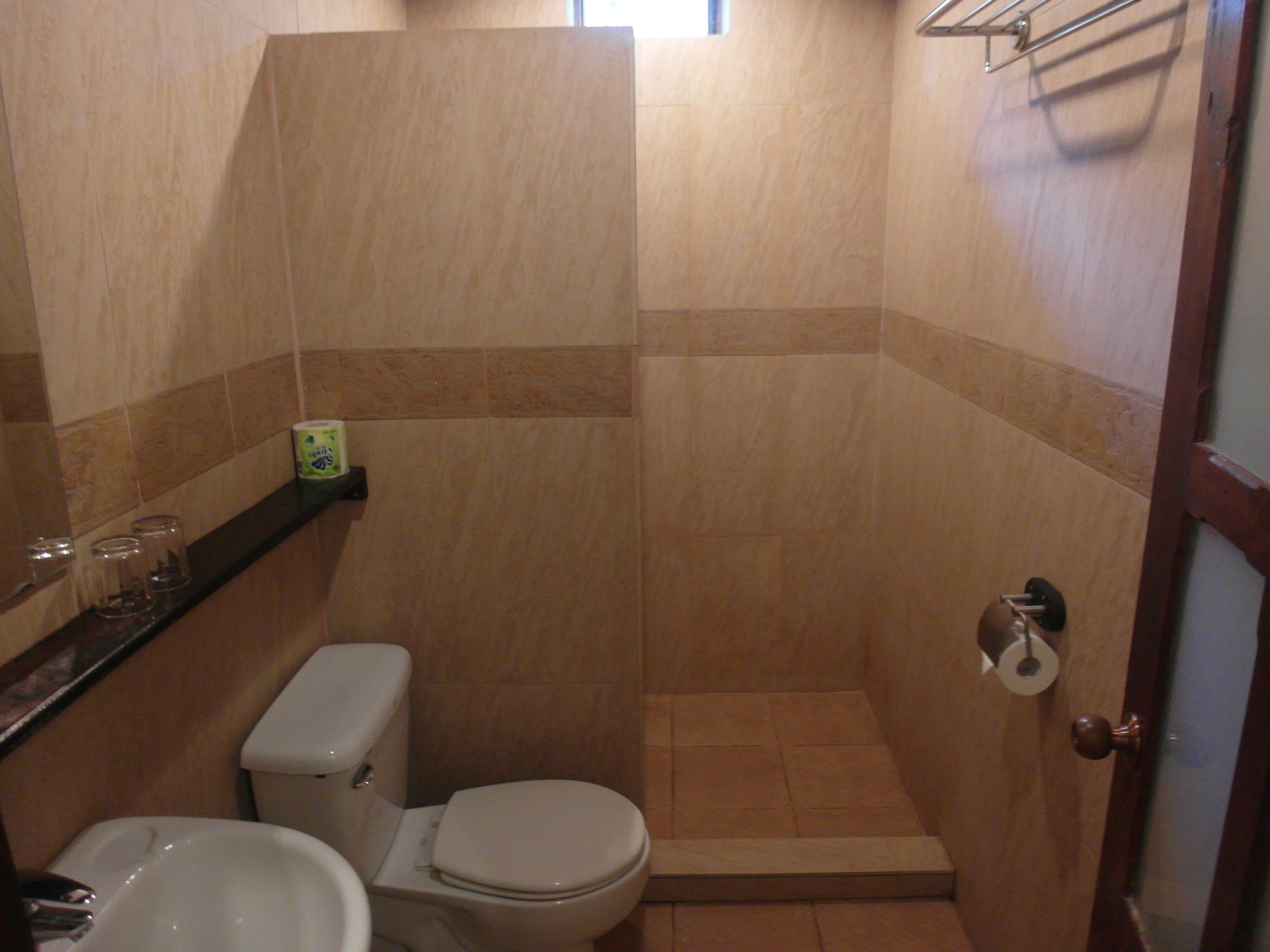 shower, hydromassage showerhead, designer toiletries, hair dryer