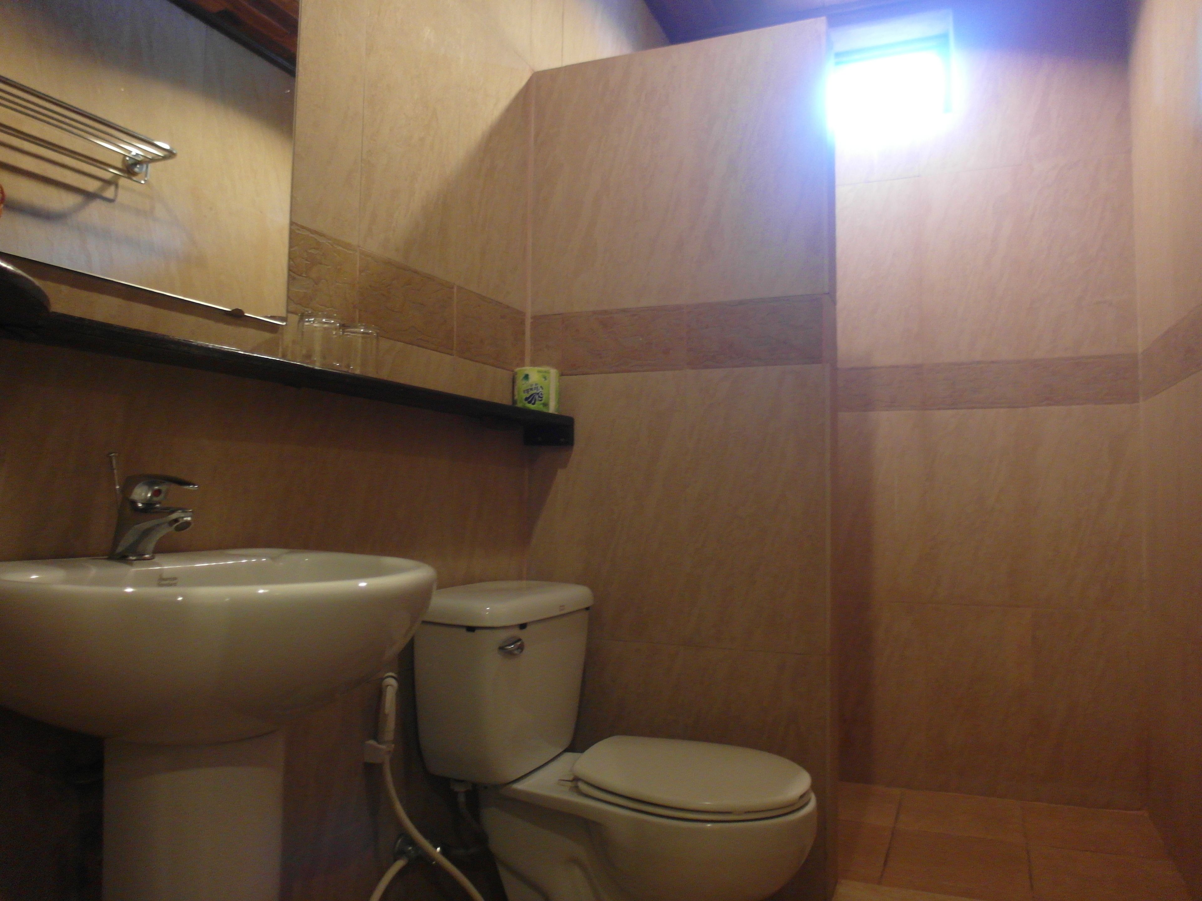 shower, hydromassage showerhead, designer toiletries, hair dryer