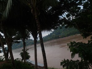 A river with dense foliage and palm trees in the foreground. - Mekong Sunset View Hotel (Luang Prabang)