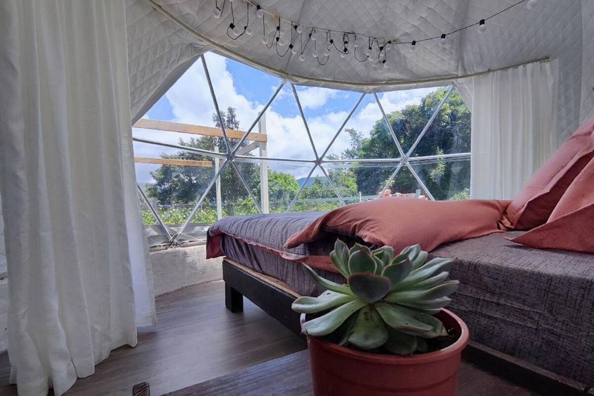 A cozy bedroom with a bed, pillows, and a potted plant.