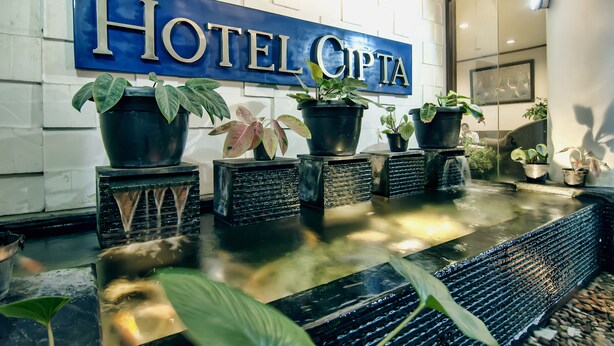 Zona de recepción con un letrero que dice 'HOTEL CIPTA', plantas en macetas y una fuente de agua.