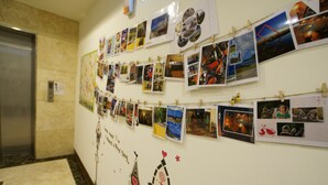 Una pared con varias fotografías y dibujos, incluyendo una casa para pájaros y un corazón.