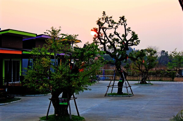 A spacious outdoor area with a wooden deck, surrounded by trees and a modern building with a green roof.