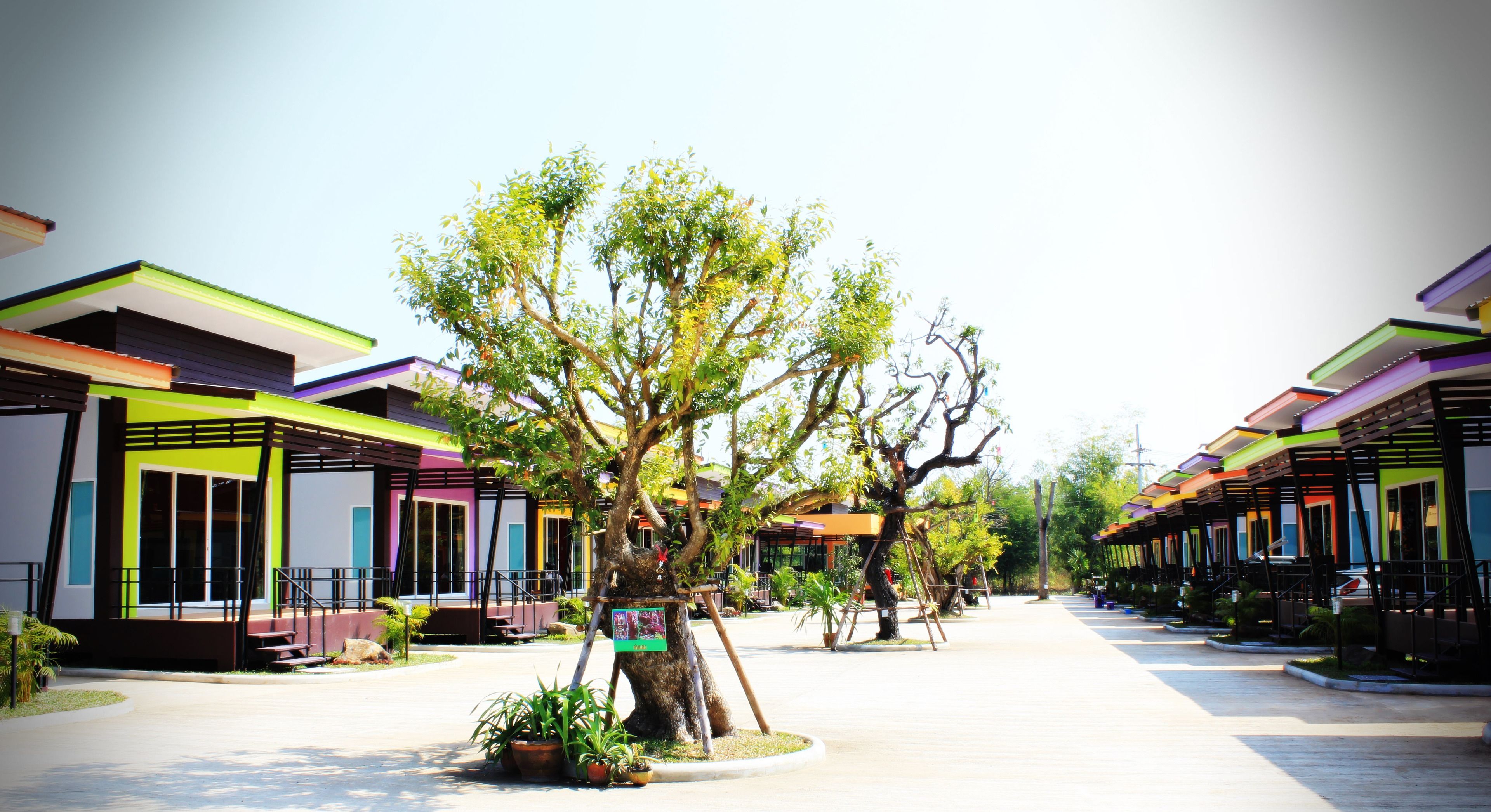 A modern hotel with colorful facades, a central tree, and a clean, paved walkway.