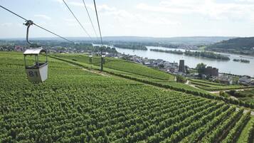 A cable car system over vineyards with a river and town in the background.
