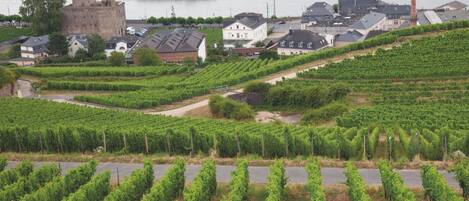 Un vignoble avec des rangées de vignes, un château et une rivière où flotte un bateau.