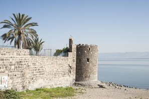 A stone wall with a tower, palm trees, and a calm body of water. - Tiberias Hostel (Tiberias)