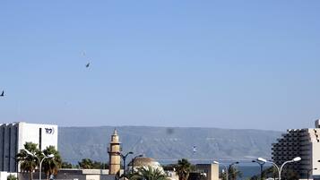 Un paisaje urbano costero con una mezquita destacada, palmeras y una vista despejada del mar.