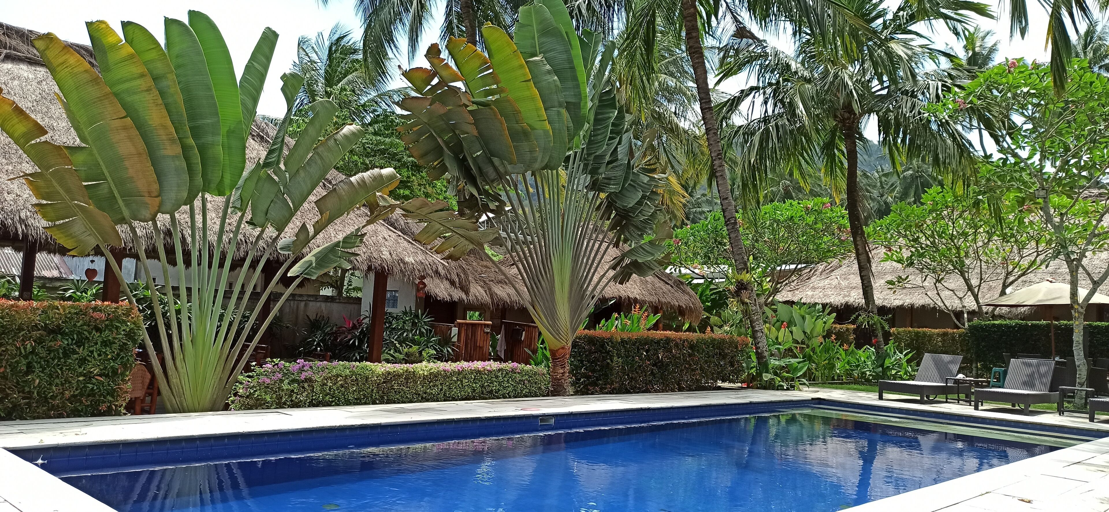 deluxe room, 1 king bed | garden view