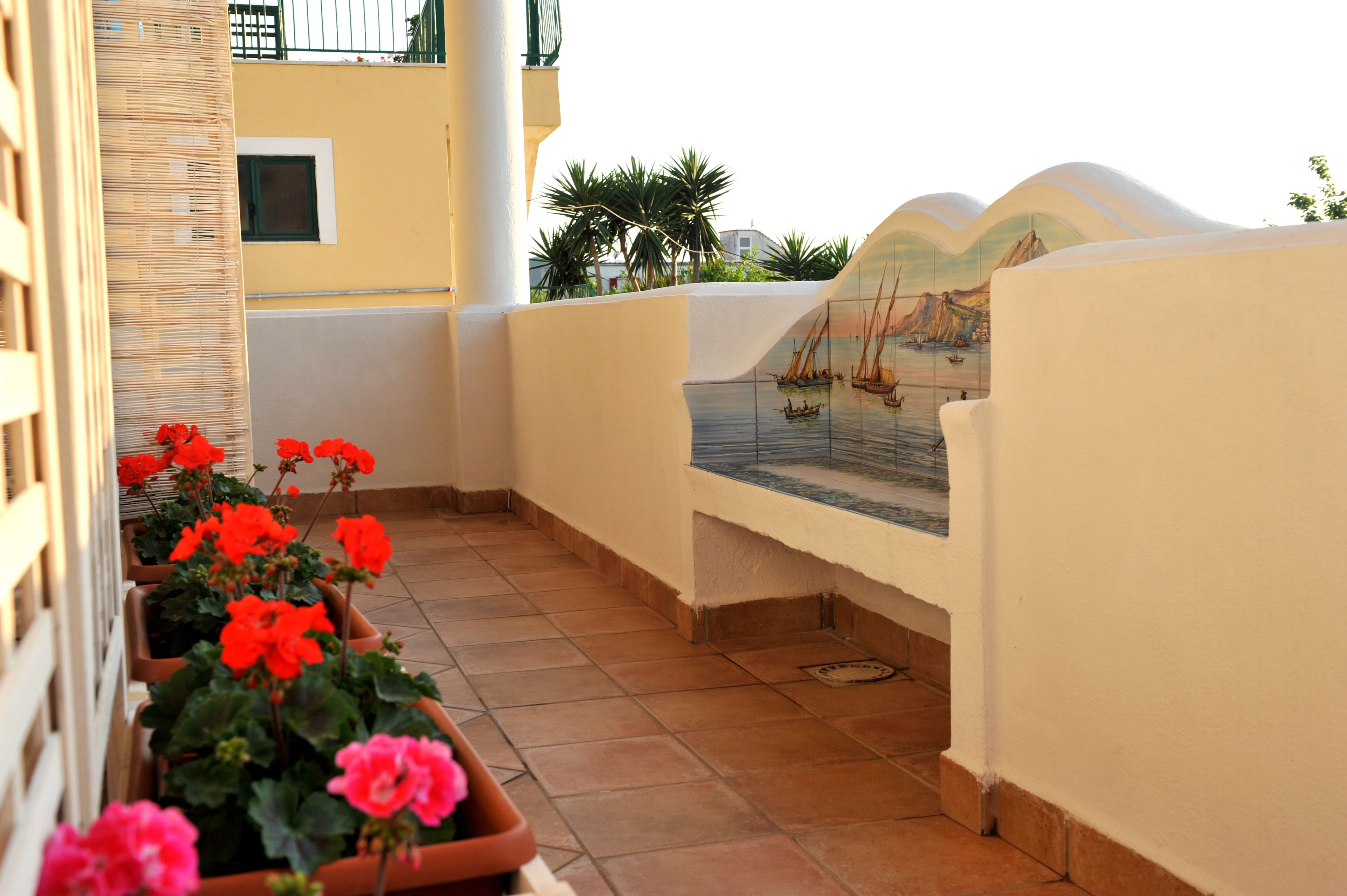 Photo - Il Leone Di Mare