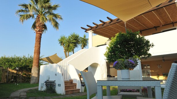 A patio area with a covered table and chairs, a palm tree, and a white building with steps leading up to a door. - Il Leone di Mare (Procida)