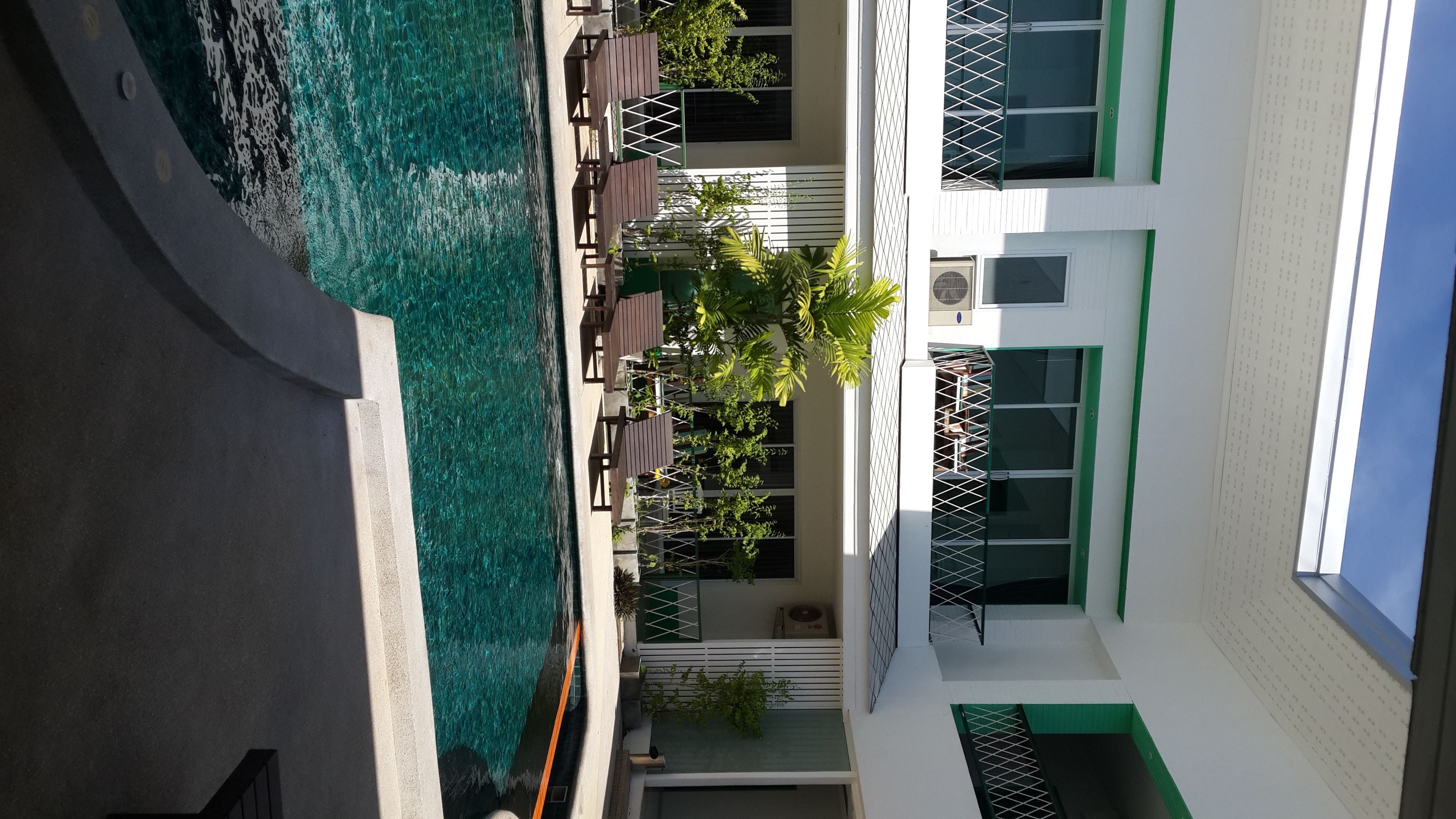 Outdoor pool, open 8:00 AM to 9:00 PM, pool loungers