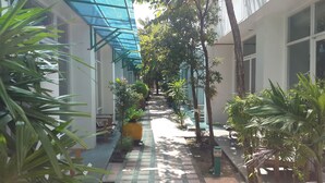 Un pasillo estrecho e iluminado por el sol, con suelo de baldosas, bordeado por plantas y árboles, que conduce a la entrada de un edificio.