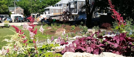 A residential area with houses, a garden with various plants and flowers, and parked vehicles.