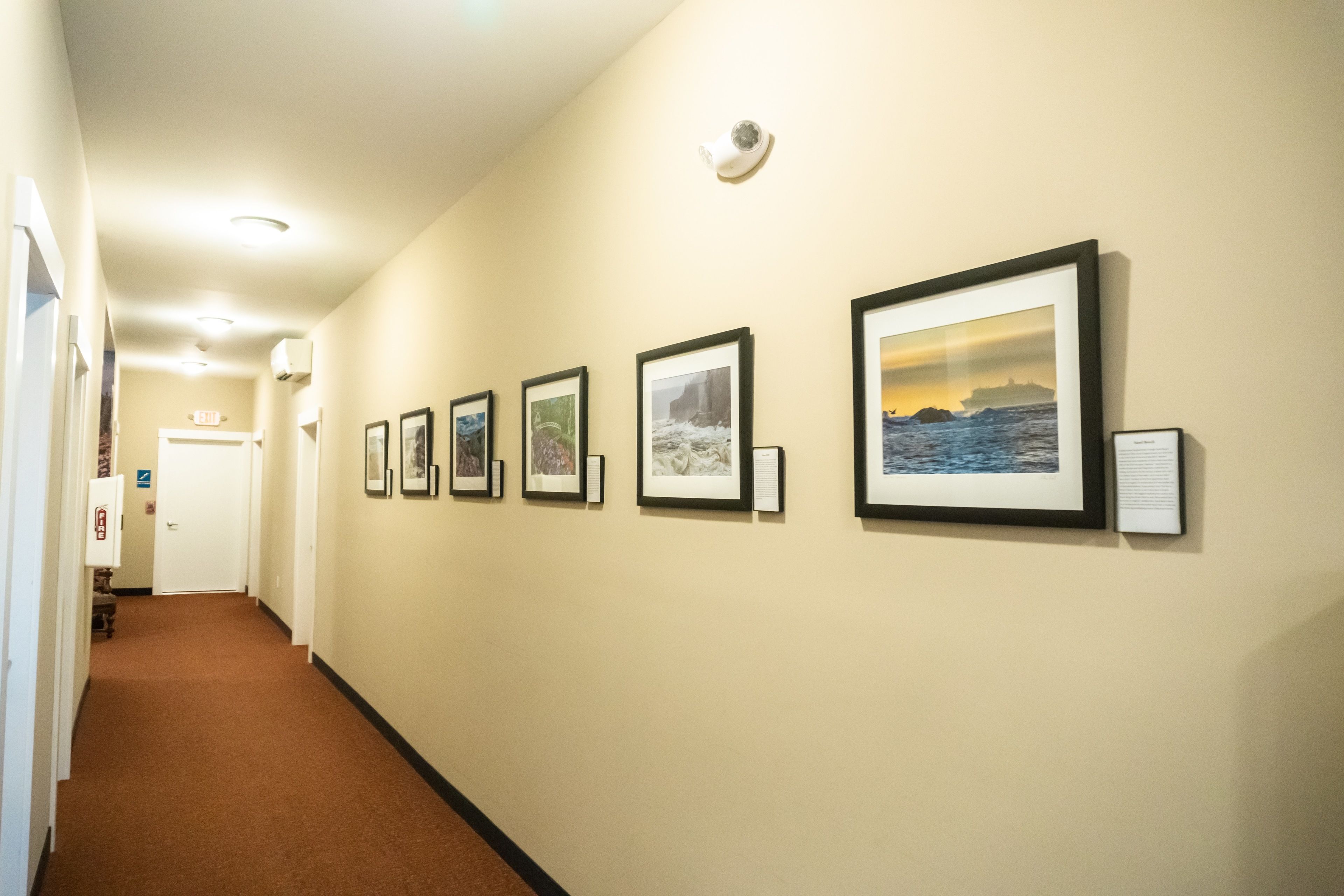 A hallway with framed artwork on the walls, a carpeted floor, and a door at the end.