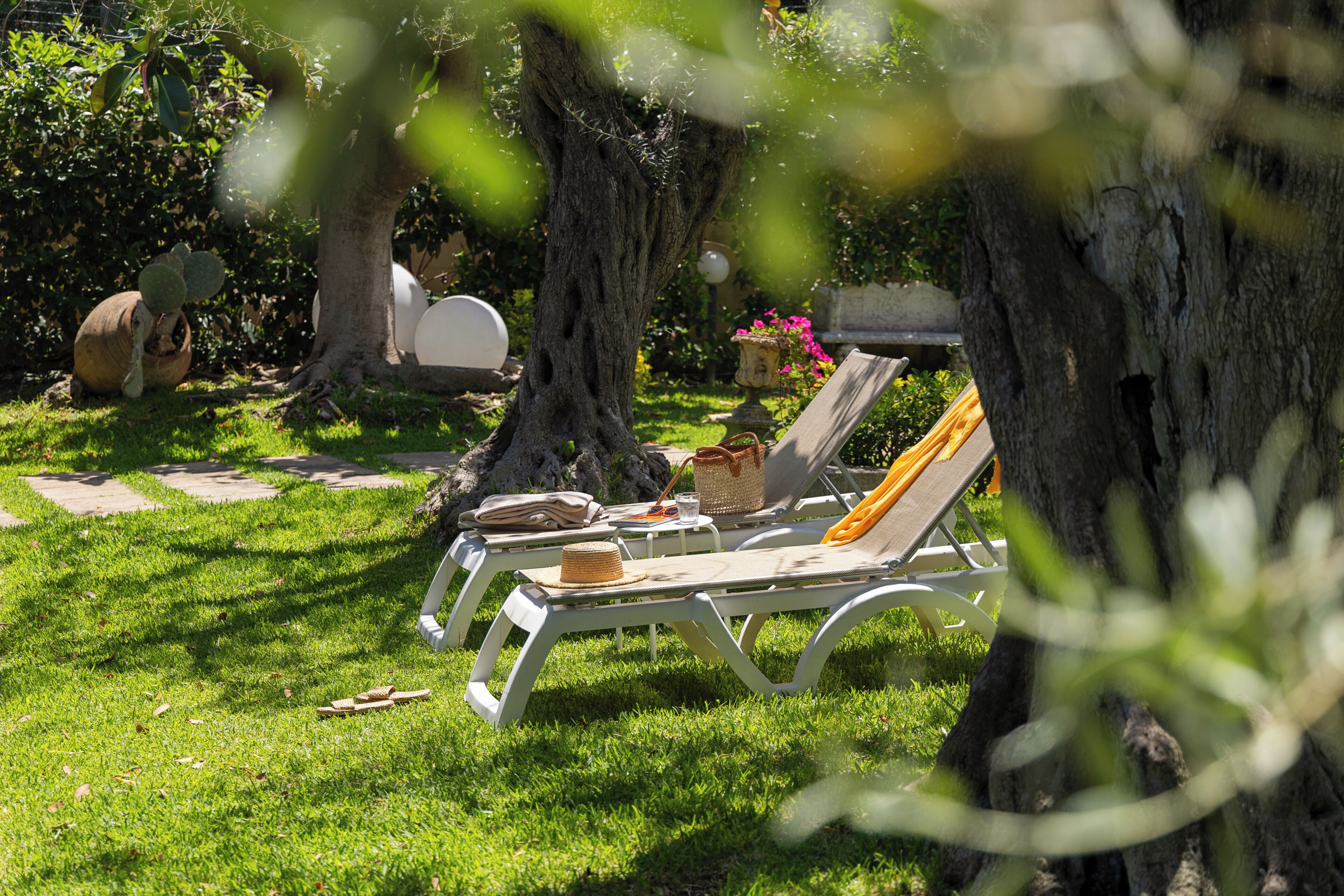 Giardino