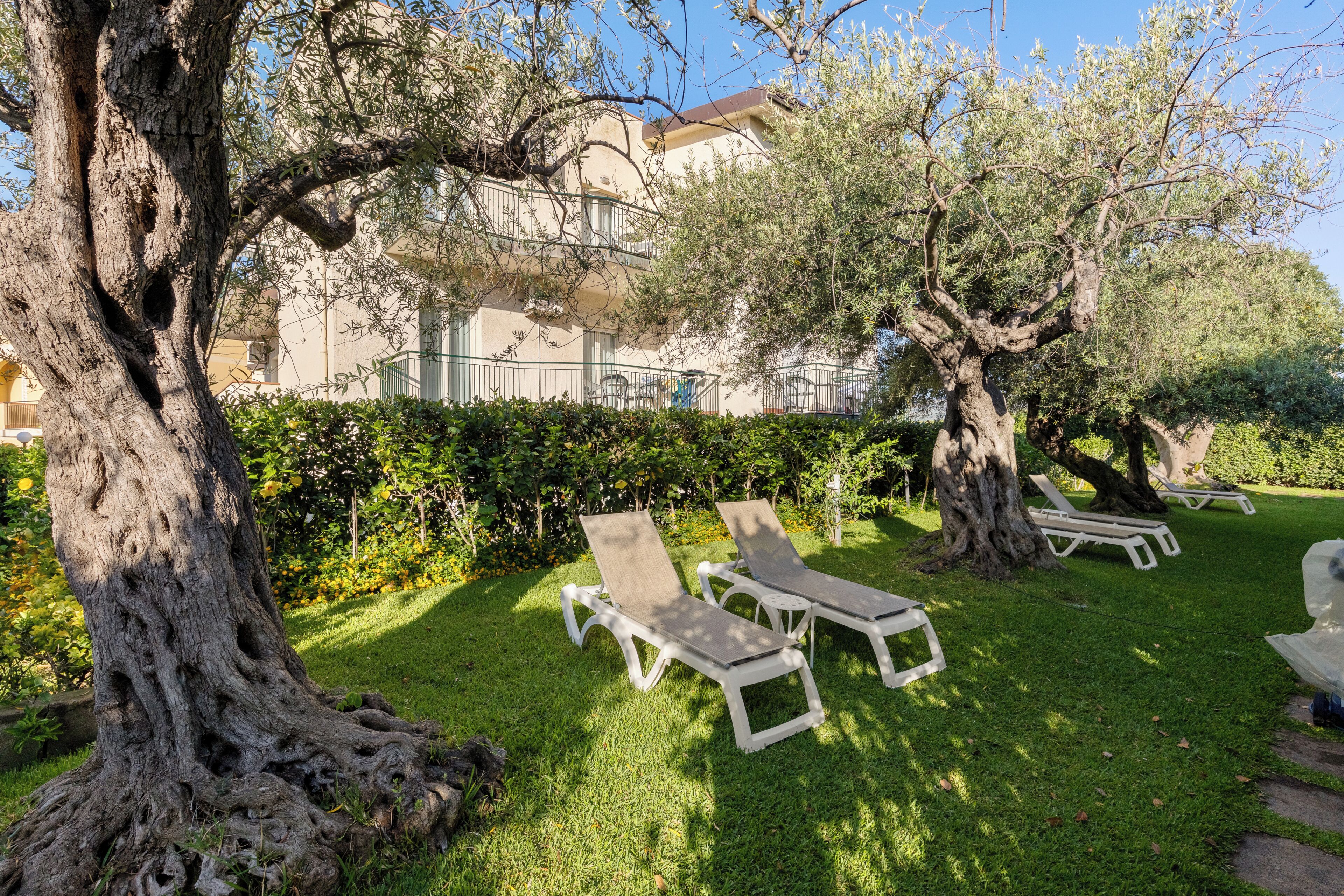Un giardino con poltrone da relax bianche, un albero grande e un edificio sullo sfondo.