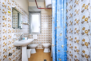 Shower, hair dryer, bidet