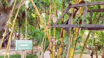 Vườn