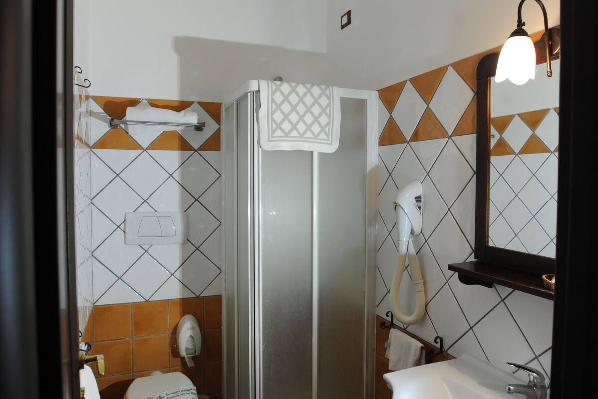 shower, free toiletries, hair dryer, bidet