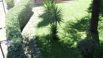 A patio area with a table and chairs, surrounded by well-maintained hedges and a small palm tree.