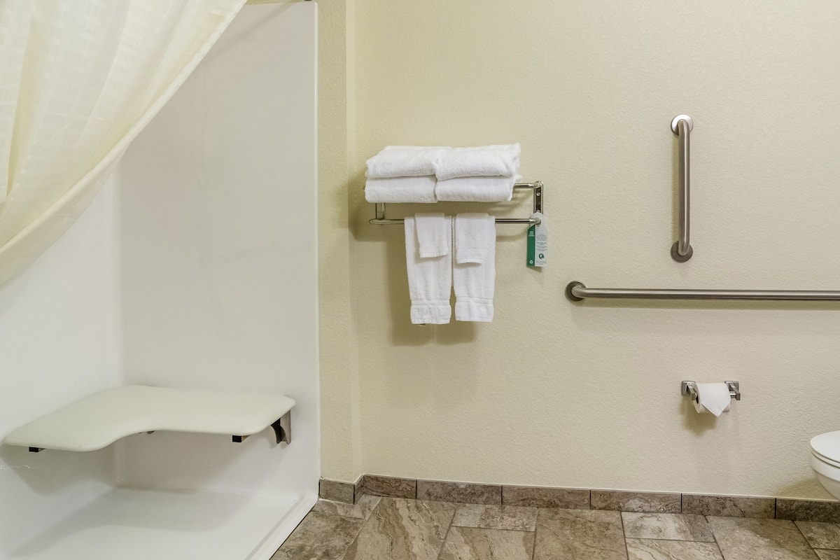 suite, 1 king bed with sofa bed, accessible, non smoking | bathroom | combined shower/bathtub, free toiletries, hair dryer, towels